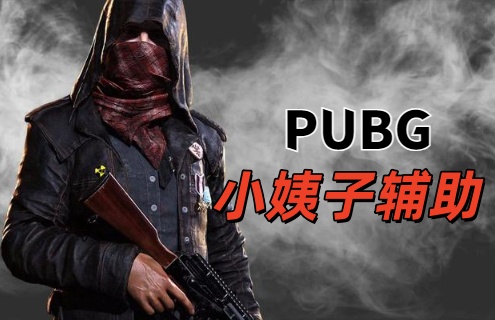 绝地求生小姨子辅助
